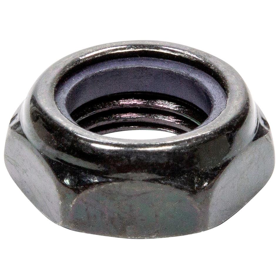 Allstar Performance Nuts ALL17048