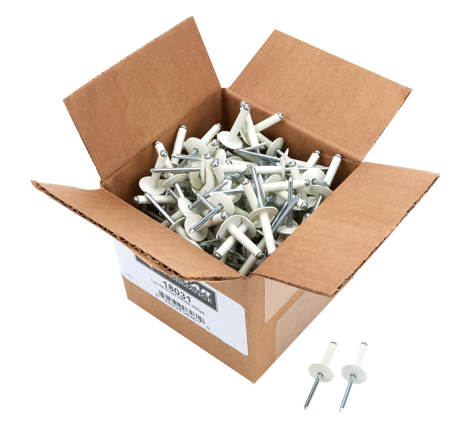 Allstar Performance Small Head Rivets ALL18031