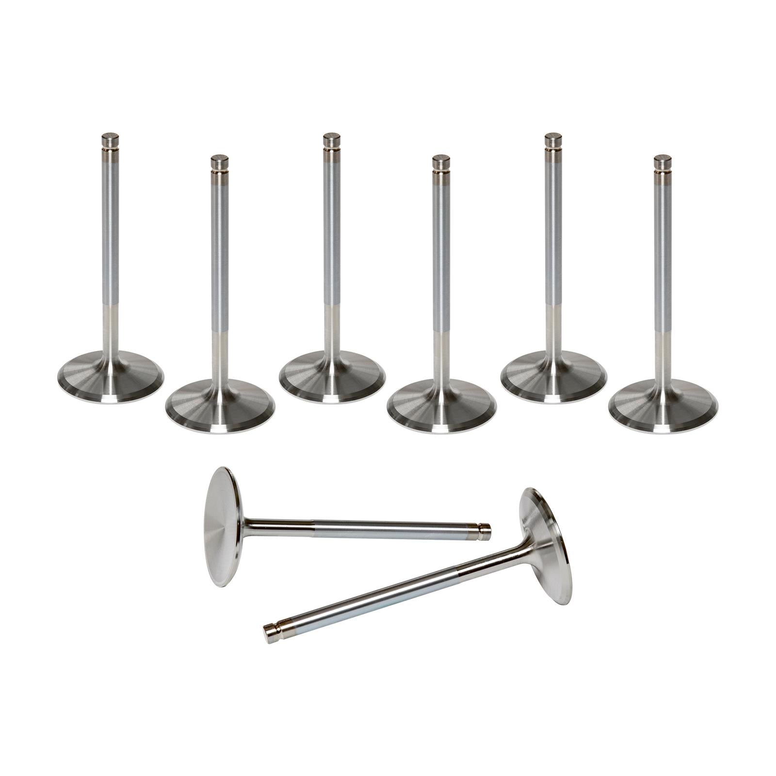 AFR Replacement Stainless Steel Valves 7207-8