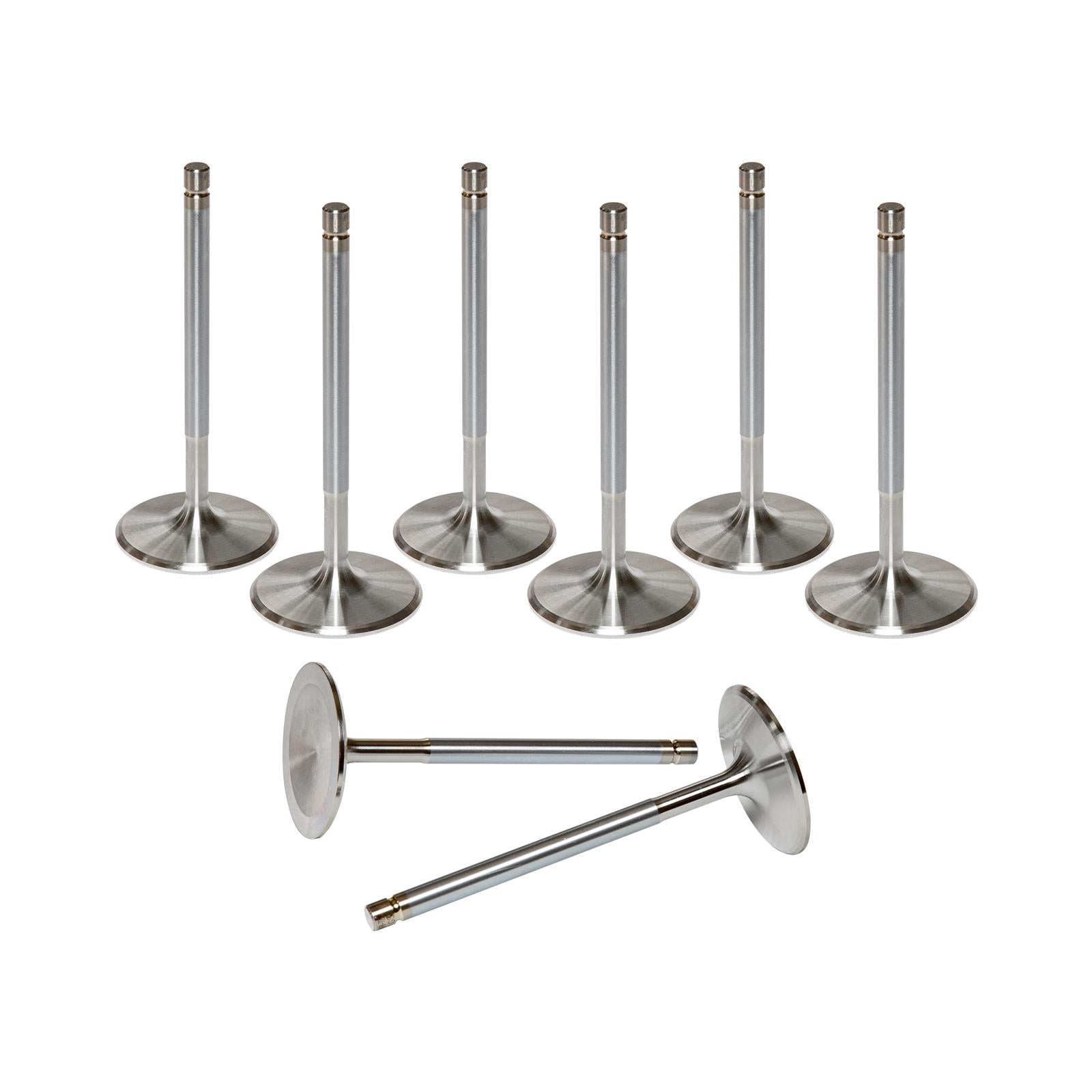 AFR Replacement Stainless Steel Valves 7255-8