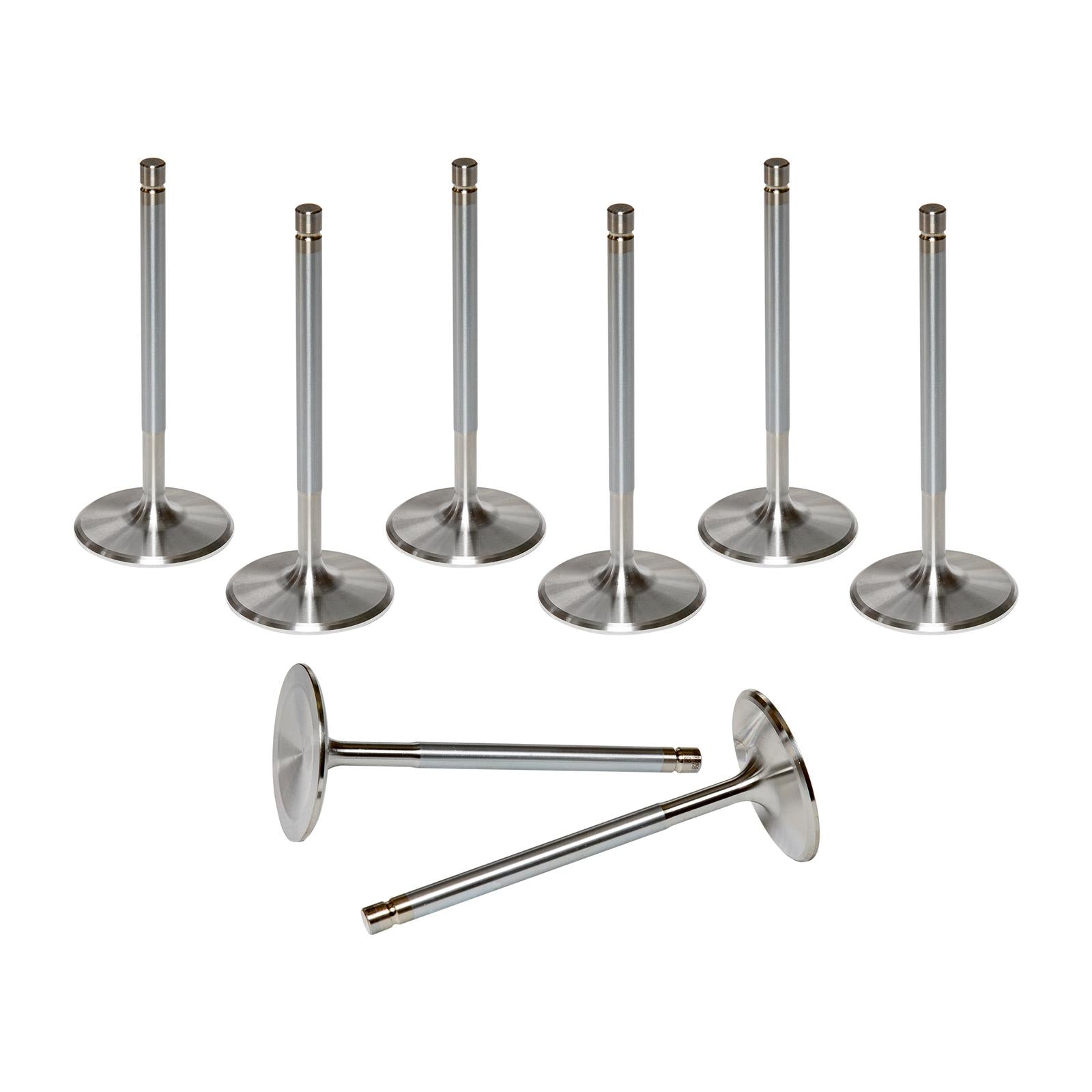 AFR Replacement Stainless Steel Valves 7258-8