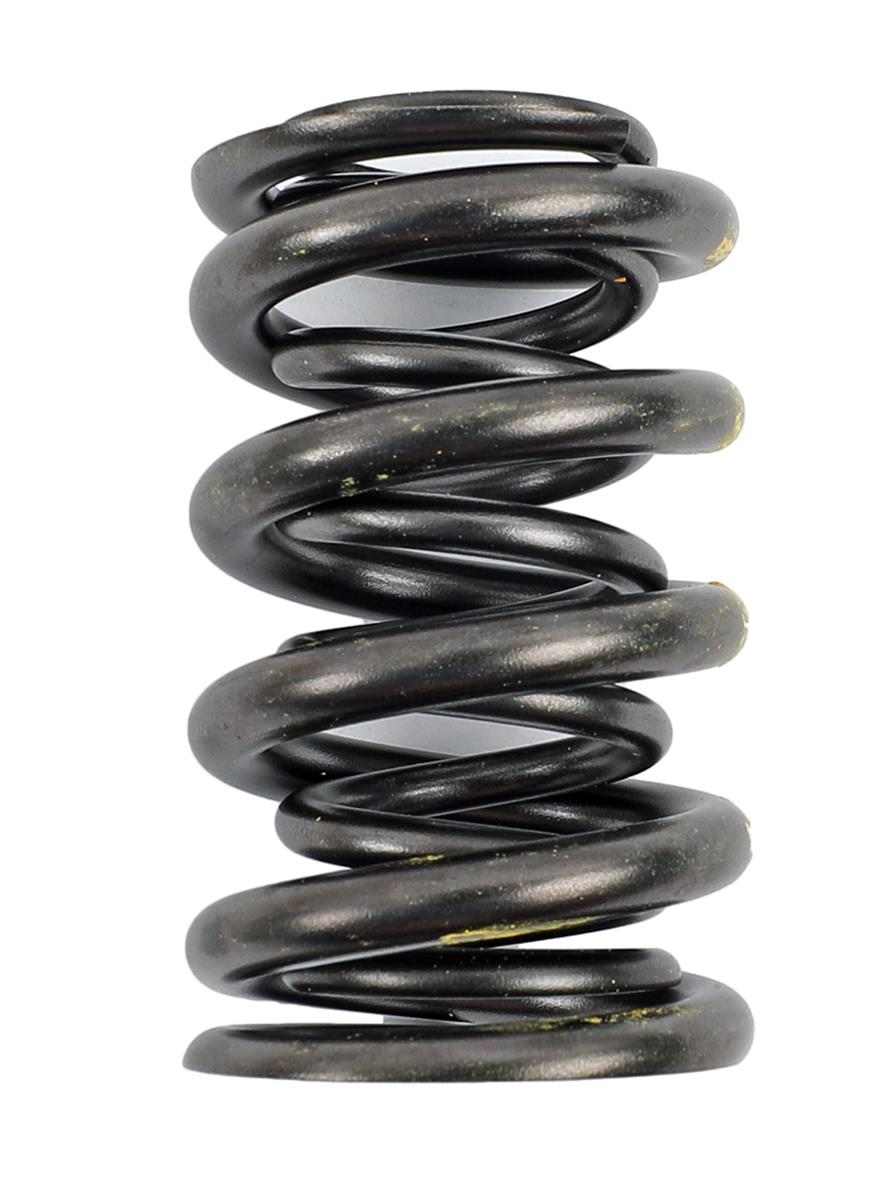 AFR Replacement Valve Springs 8001-1