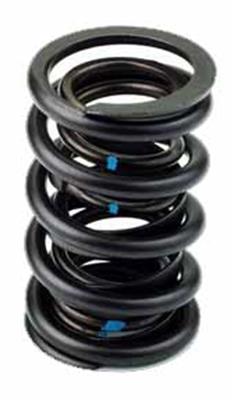 AFR Replacement Valve Springs 8020-1