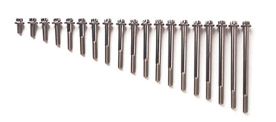 ARP Stainless Steel Bolts 712-2500