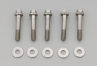 ARP Stainless Steel Bolts 760-1004