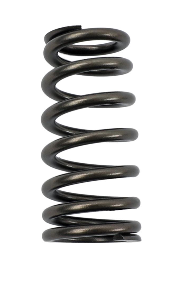 COMP Cams Valve Springs 26113-1