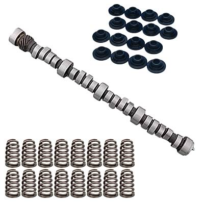 Summit Racing™ Camshaft and Spring Kit Pro Packs 09-0013