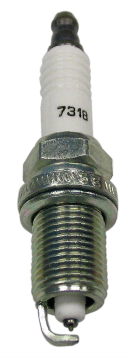 Champion Double Platinum Power Spark Plugs 7318