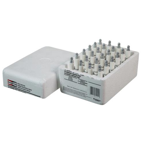 Champion Iridium Spark Plugs 9901S