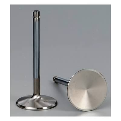 Edelbrock Stainless Steel Valves 97041