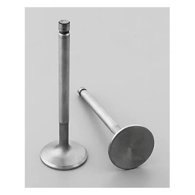 Edelbrock Stainless Steel Valves 9786