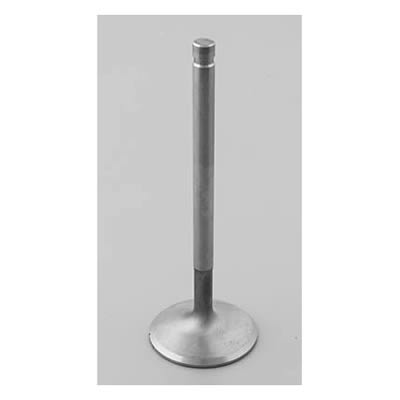 Edelbrock Stainless Steel Valves 9789