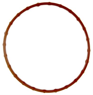 Fel-Pro Water Neck Gaskets 35891