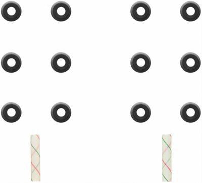 Fel-Pro Engine Valve Stem Oil Seals SS 70283-2