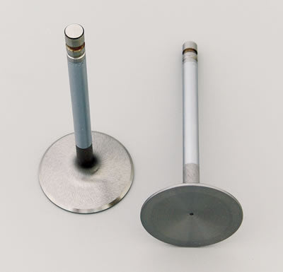 Manley Budget Series Performance Valves 10548-8