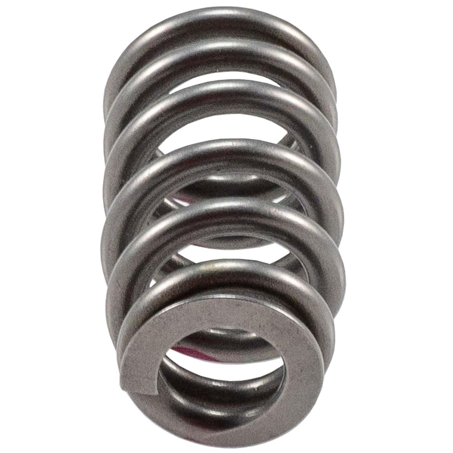 Melling Valve Springs 461219