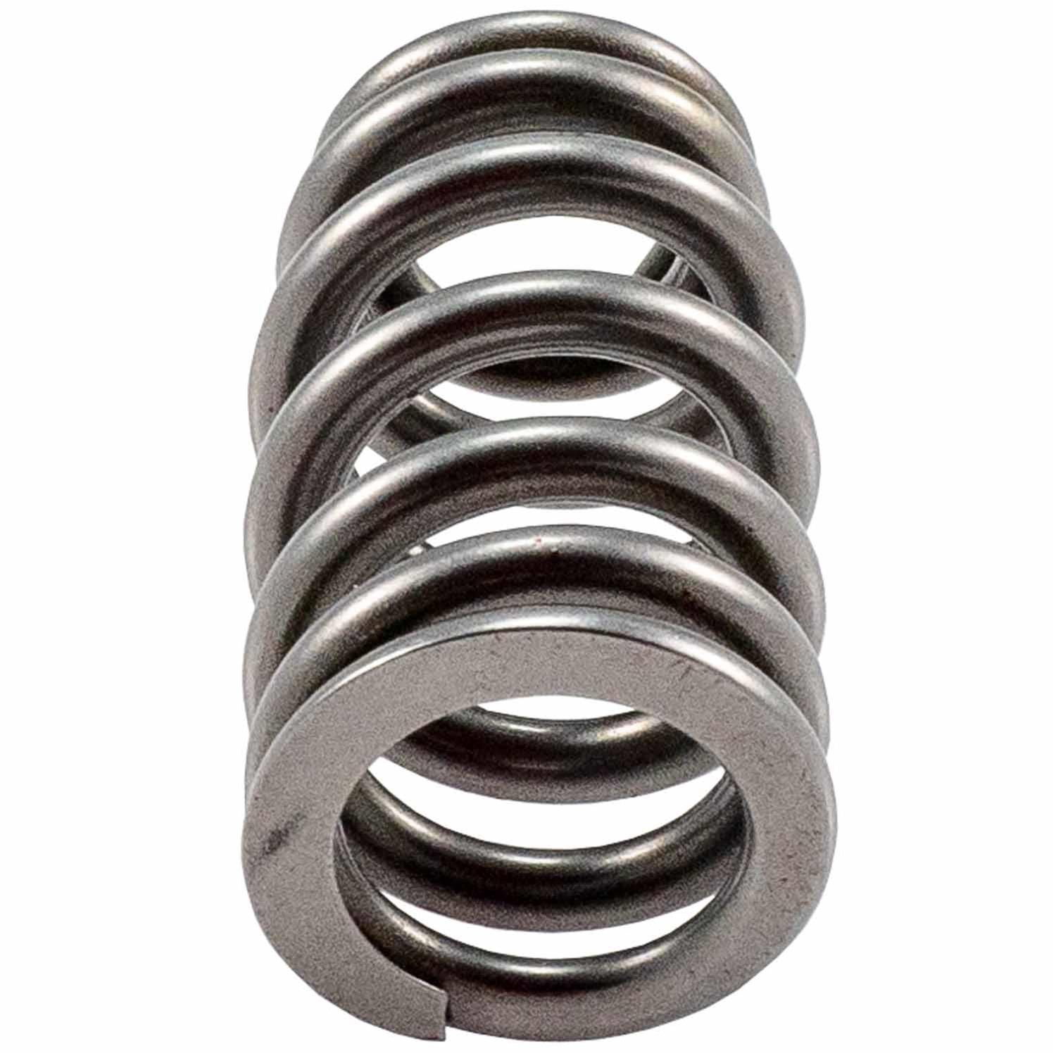 Melling Valve Springs 461219