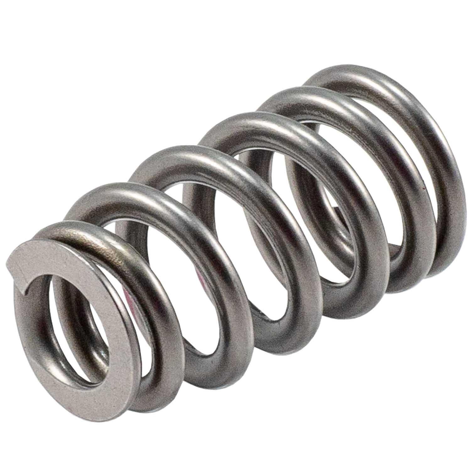 Melling Valve Springs 461219