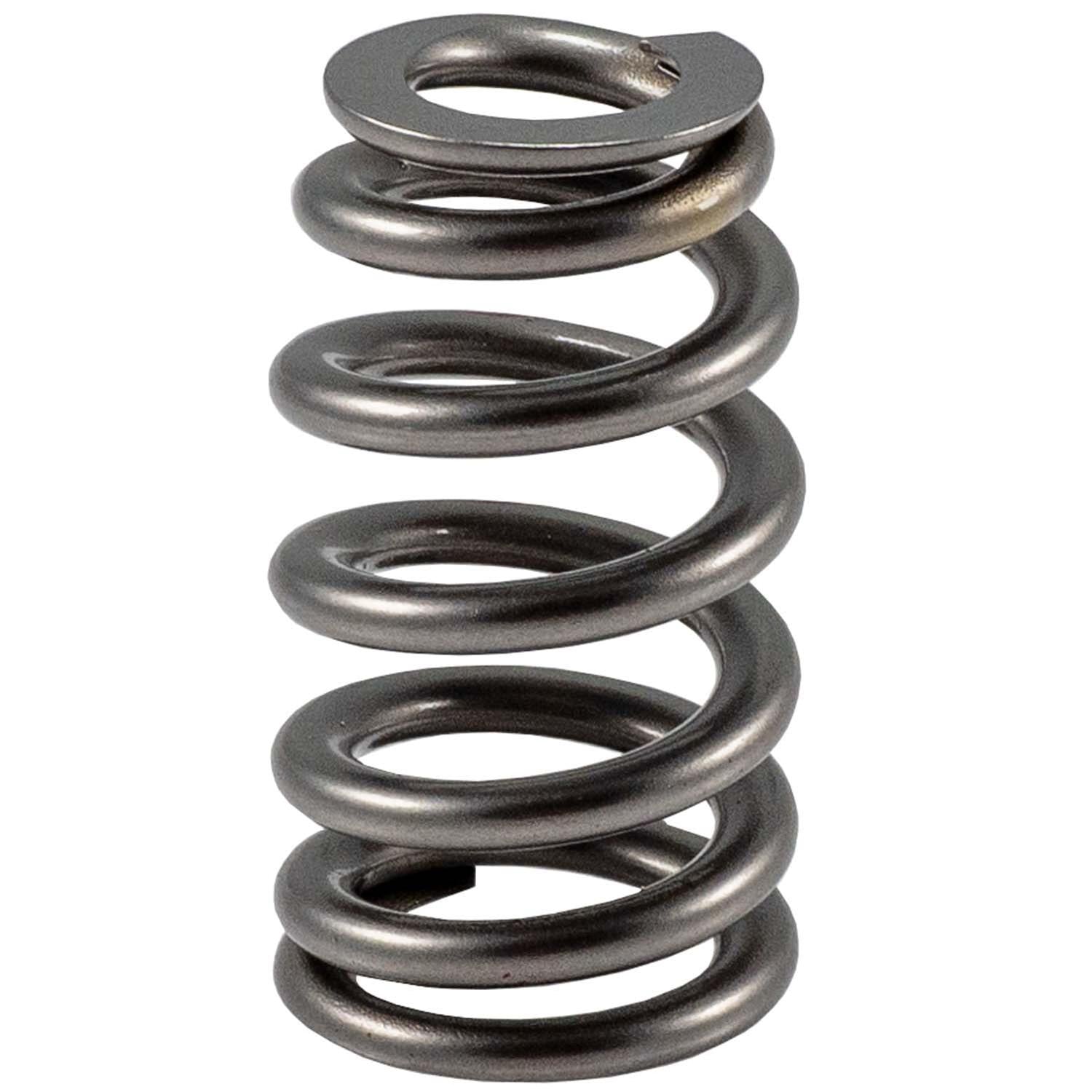 Melling Valve Springs 461219