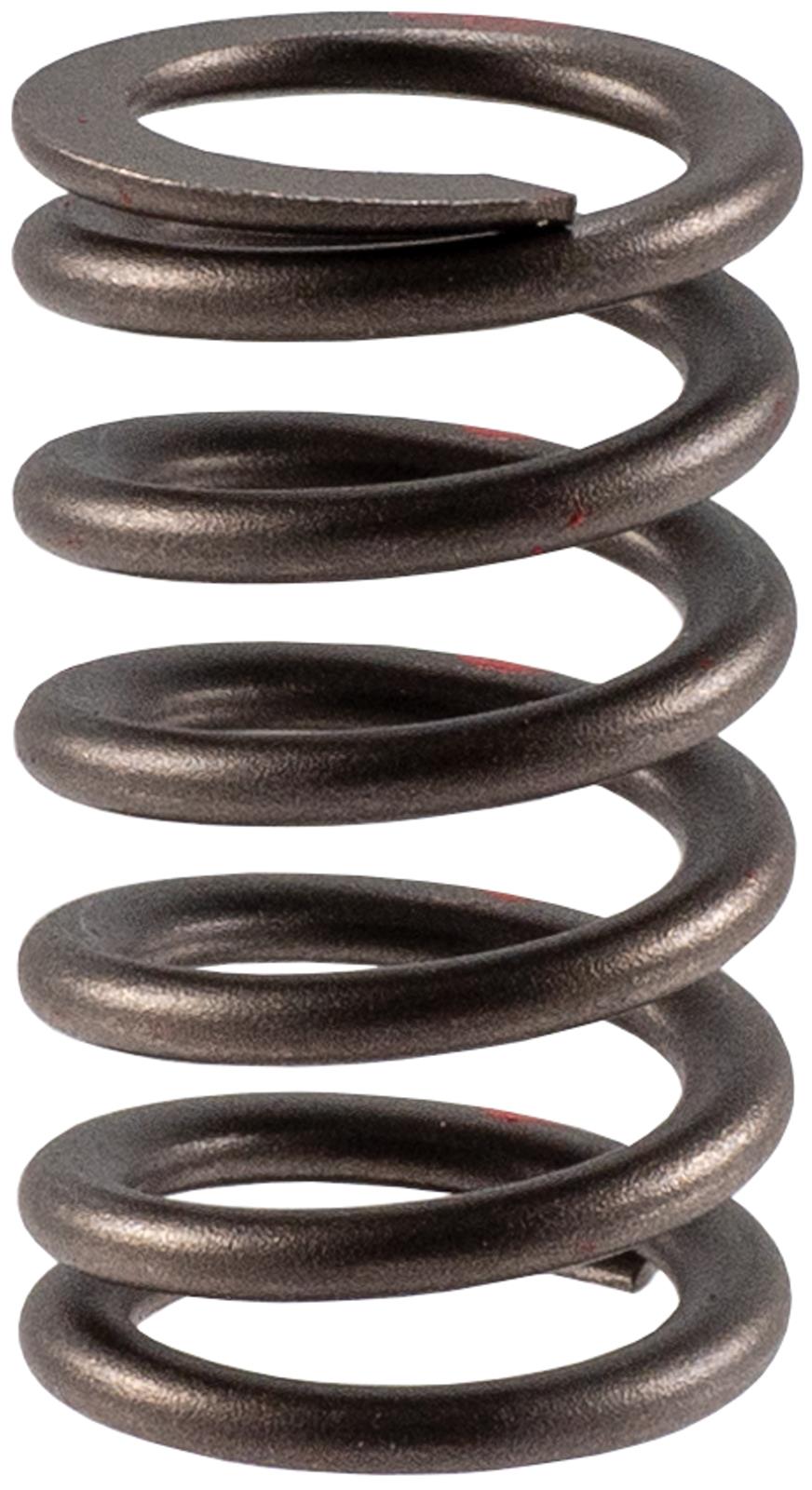 Melling Valve Springs VS-2483