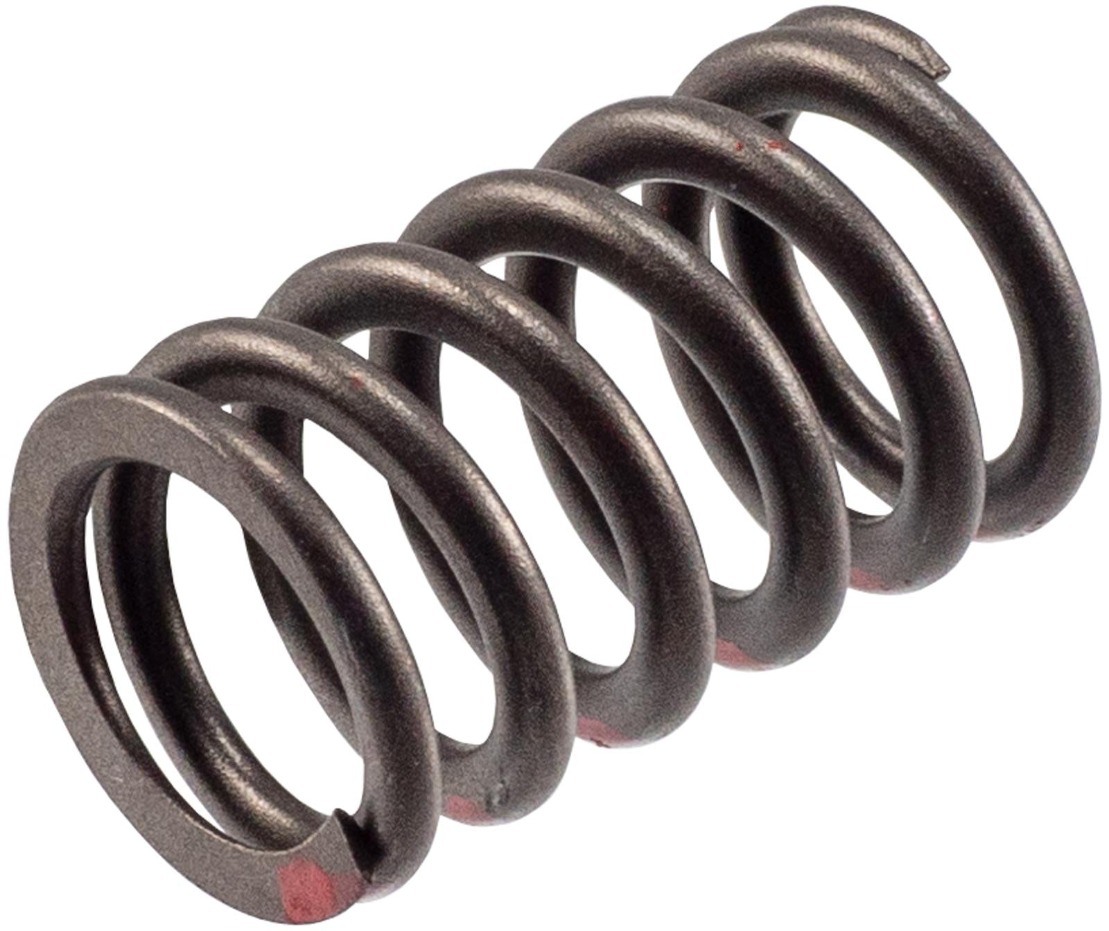 Melling Valve Springs VS-2483