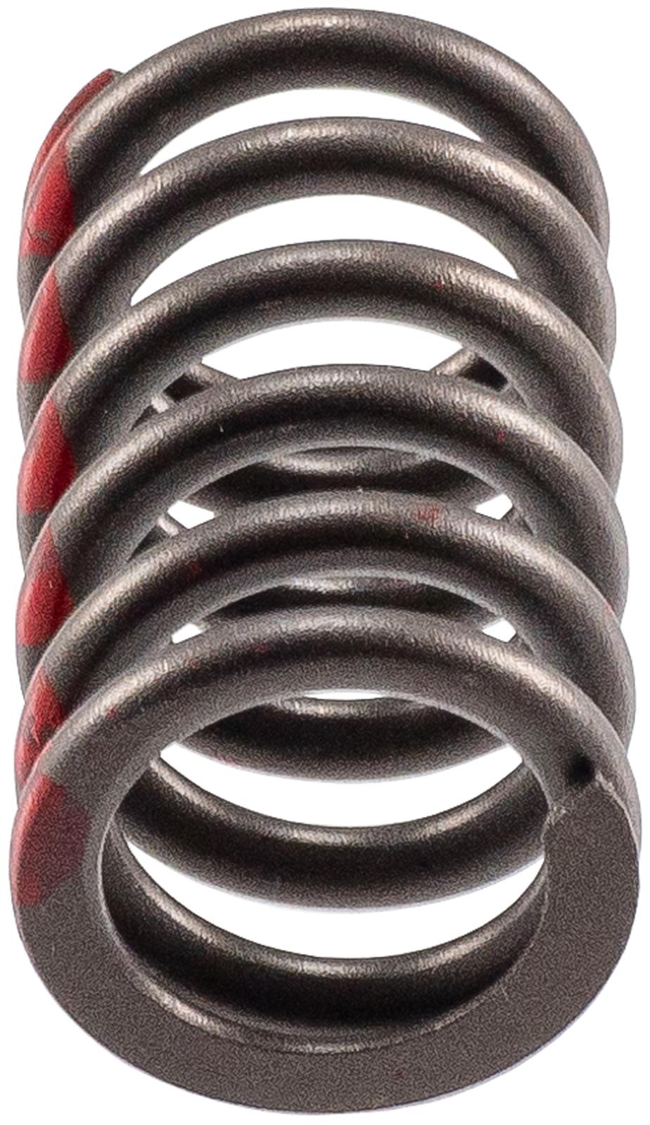 Melling Valve Springs VS-2483