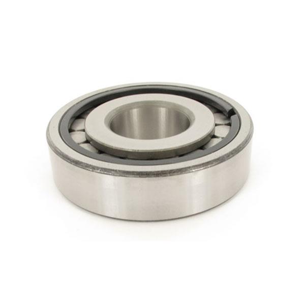 SKF Bearings Axle Bearings MUS1308-UM