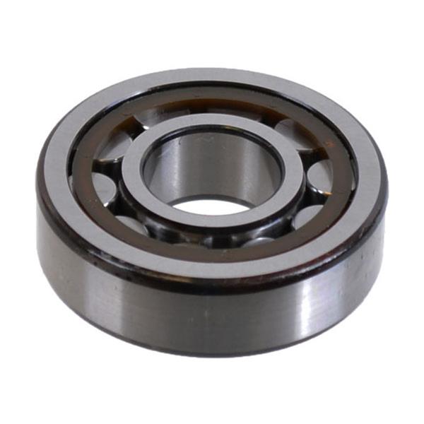 SKF Bearings Universal Bearings NJ304-ECP VP