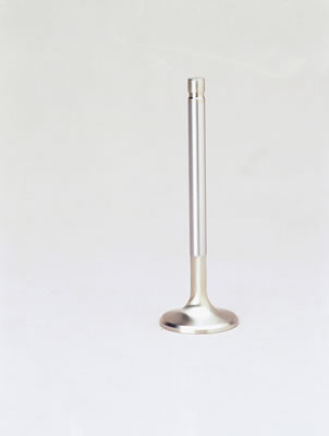 Edelbrock Stainless Steel Valves 9317