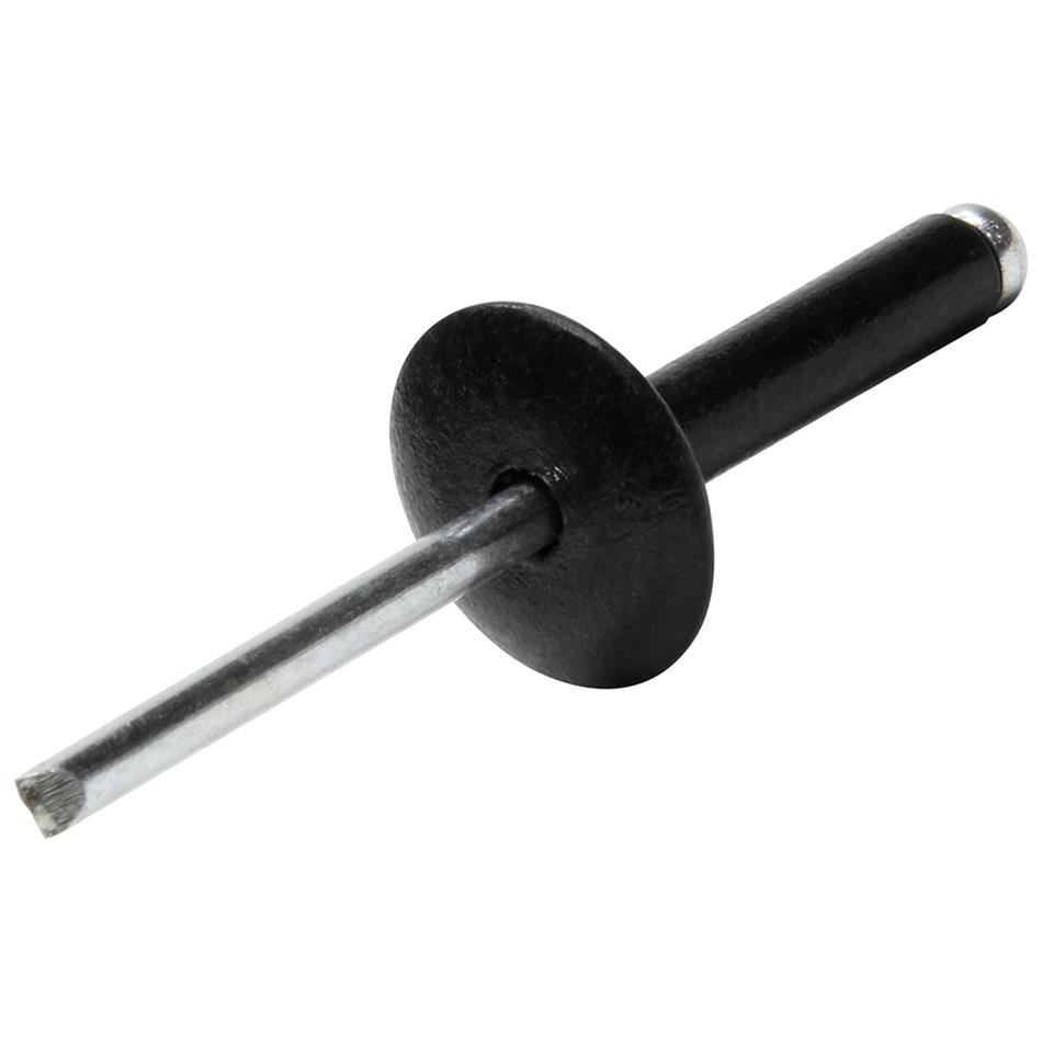 Allstar Performance Large Head Rivets ALL18033
