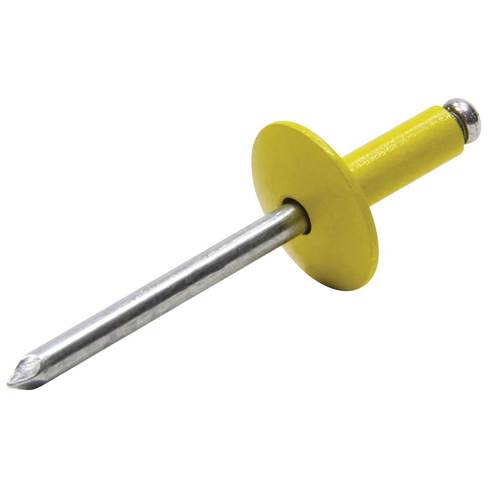 Allstar Performance Large Head Rivets ALL18056