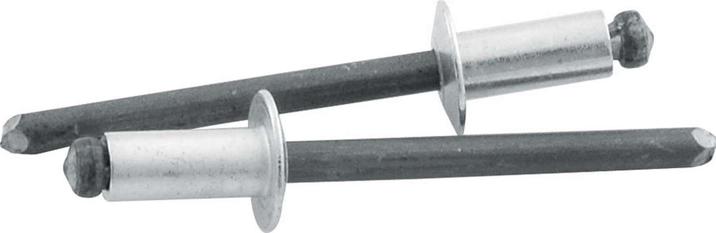 Allstar Performance Small Head Rivets ALL18101