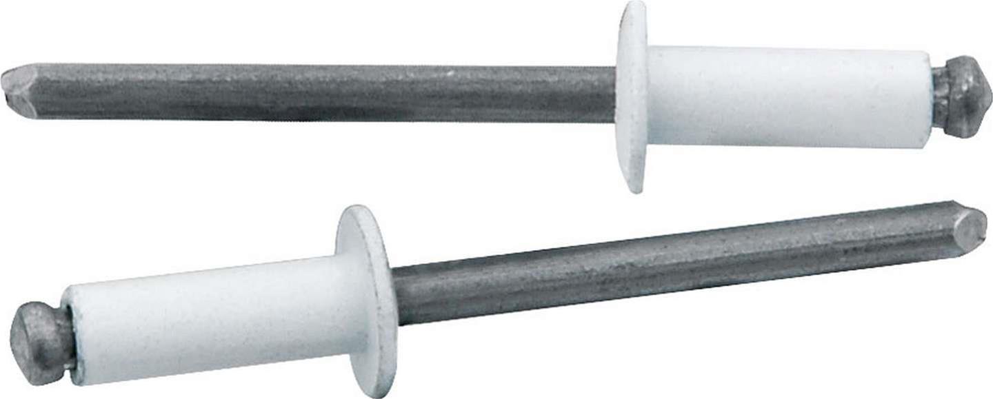 Allstar Performance Small Head Rivets ALL18114