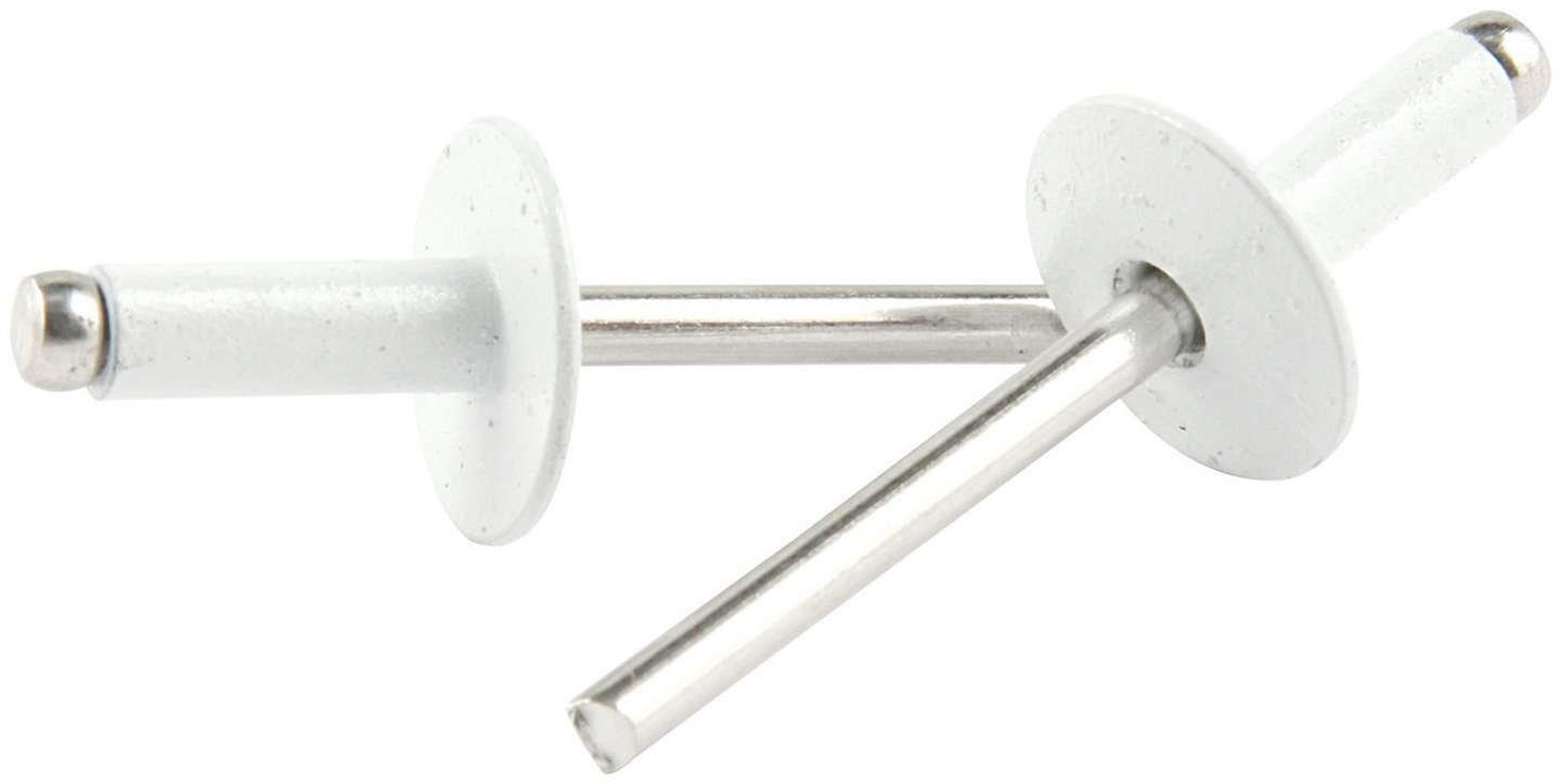 Allstar Performance Large Head Rivets ALL18158