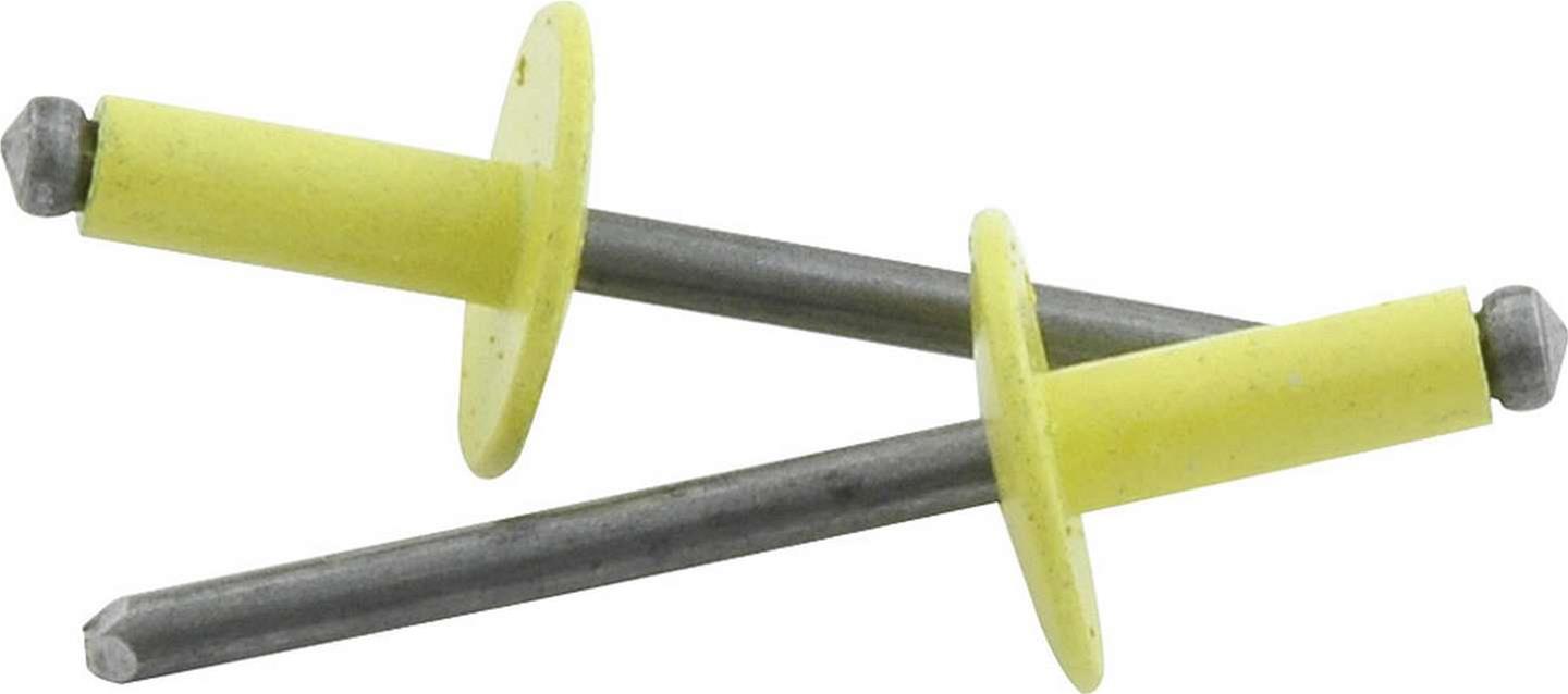 Allstar Performance Large Head Rivets ALL18180