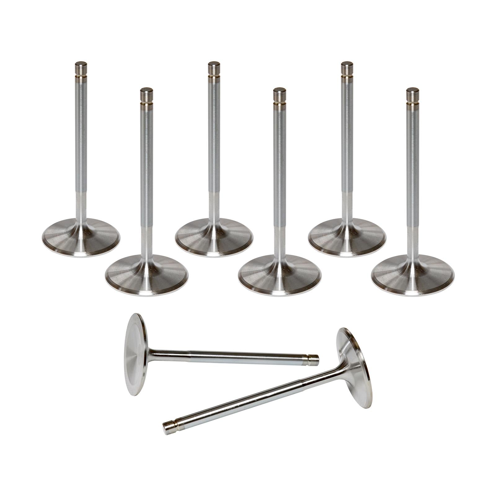 AFR Replacement Stainless Steel Valves 7256-8