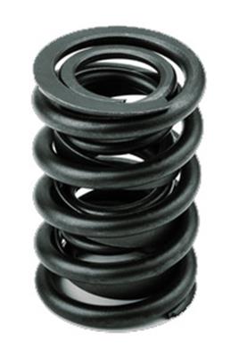 Afr Spring Return AFR Replacement Valve Springs 8016-16