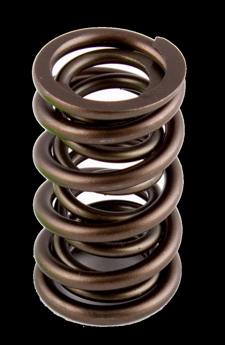 Afr Spring Return AFR Replacement Valve Springs 8017-16