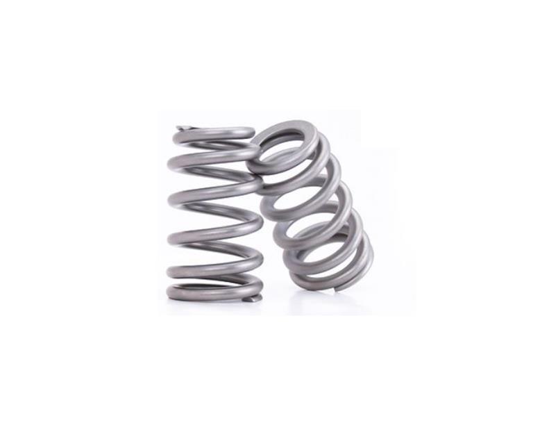 Summit Racing™ Camshaft and Spring Kit Pro Packs 09-0012