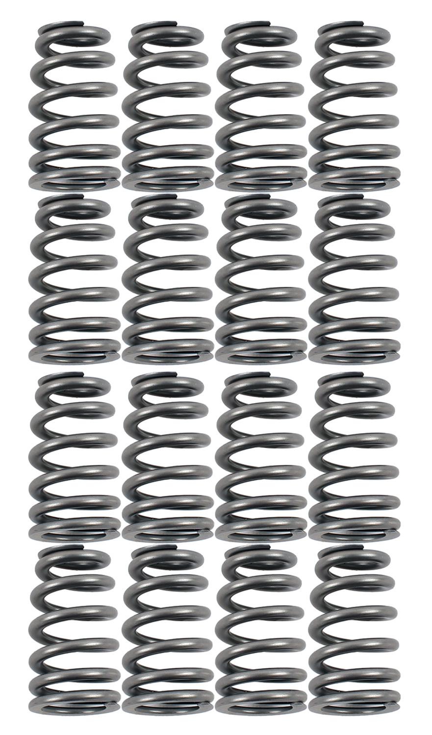 Summit Racing™ Camshaft and Spring Kit Pro Packs 09-0012