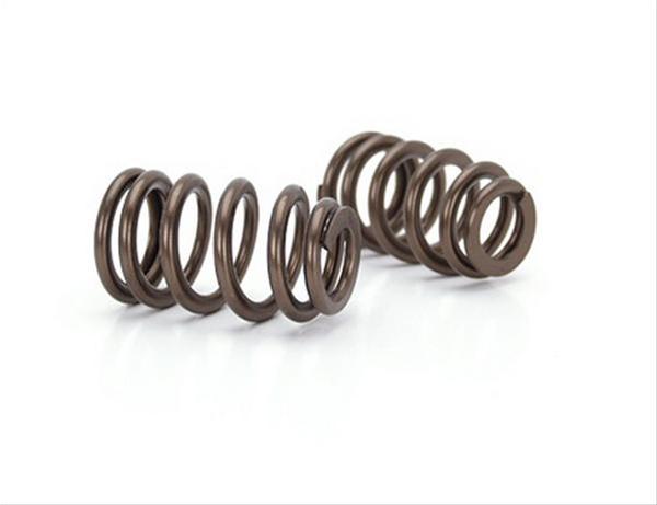 Summit Racing™ Camshaft and Spring Kit Pro Packs 09-0013