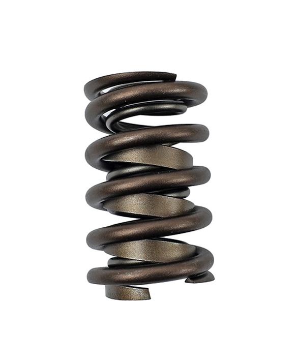 COMP Cams Valve Springs 977-1