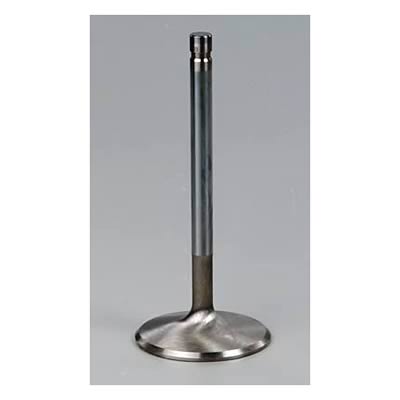Edelbrock Stainless Steel Valves 9375