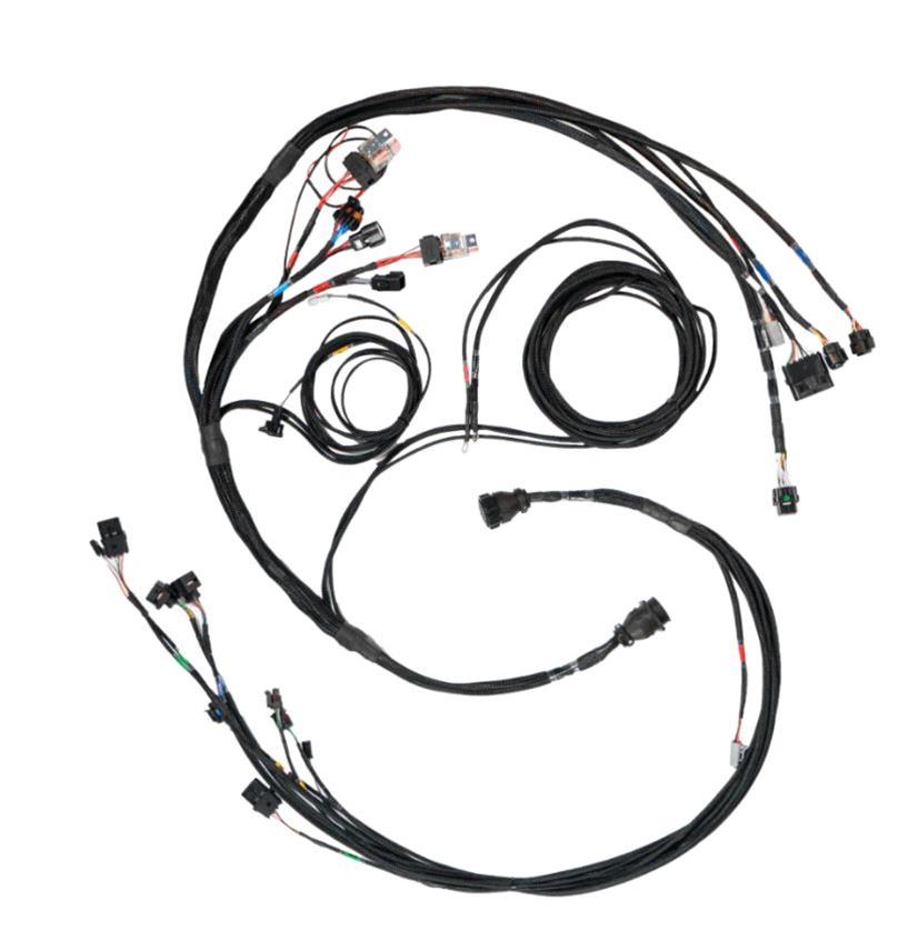 FuelTech FT450/550 Sportsman Datalogging A Harnesses 2002007356
