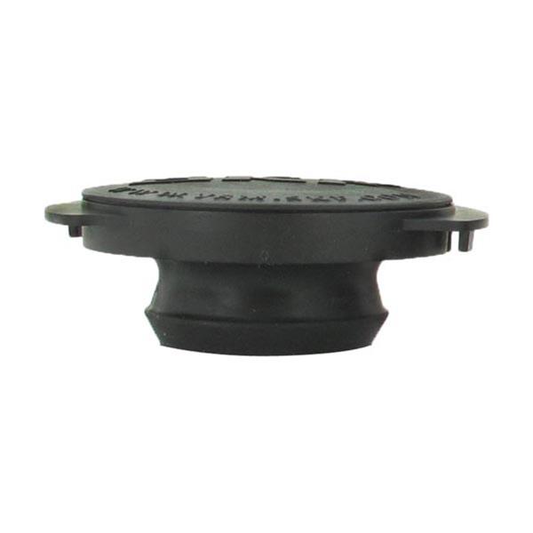 SKF Bearings Brake Hub Dust Caps 450438-300
