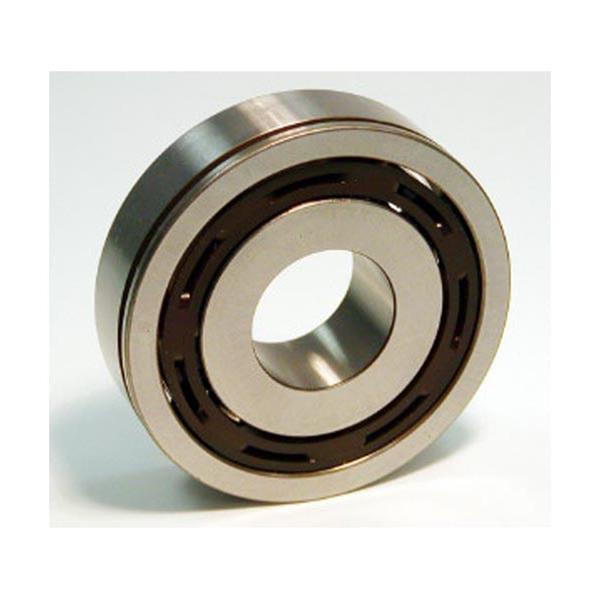 SKF Bearings Universal Bearings 6305-NSP19