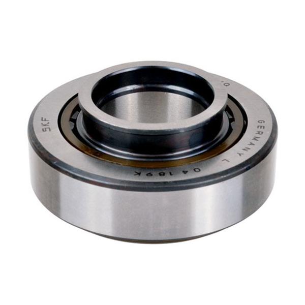 SKF Bearings Universal Bearings BR110
