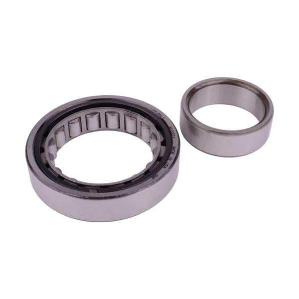 SKF Bearings Ball Bearings MA1209-TV