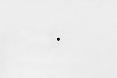 Wilwood Disc Brakes Disc Brake Kit Components 230-5046